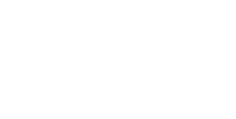 TerraViva Logo